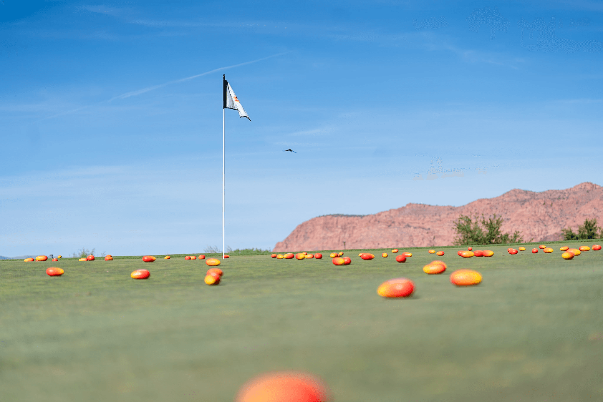 A putting green flag surrounded by orange and yellow mango-shaped balls