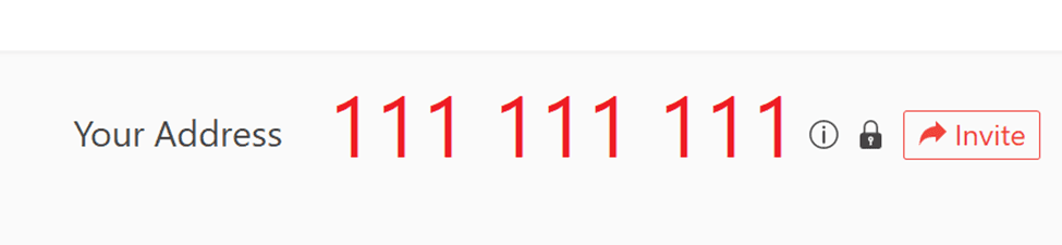 AnyDesk 'Your Address' bar showing the example address 111 111 111