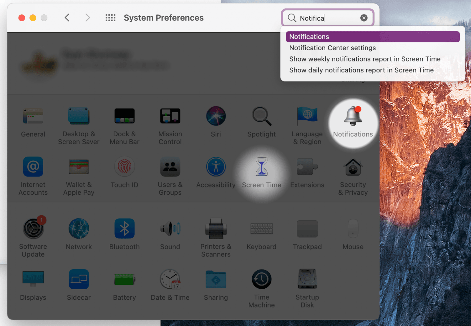 macOS System Preferences with the Notifications search highlighting the Notifications pane