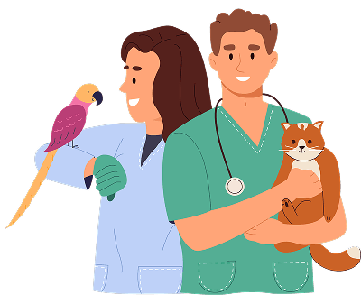 Electronic Medical Records